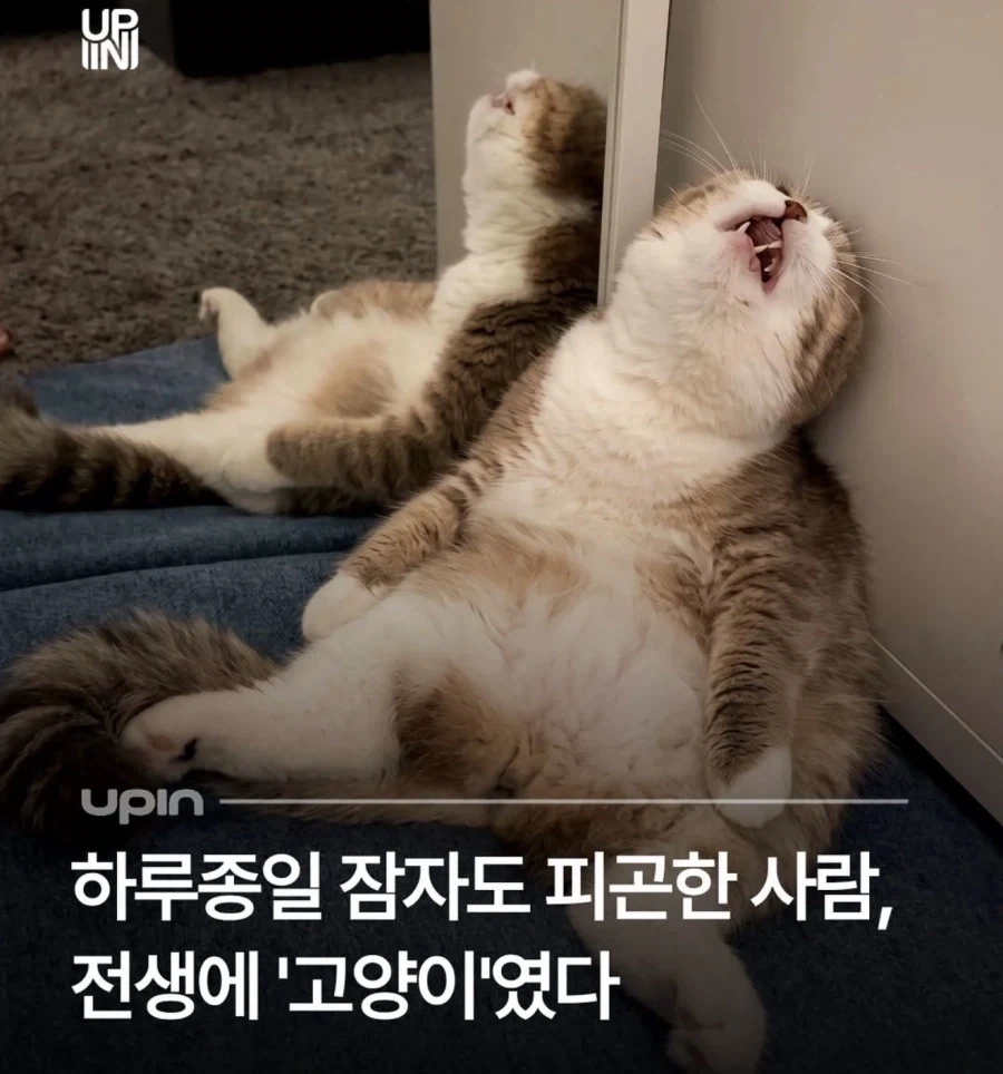 자도자도 피곤한 이유.jpg_1.webp