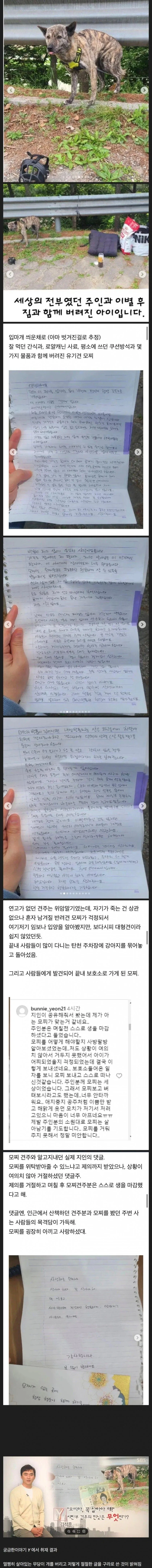 시한부 암환자 편지남기고 탄천주차장 버려진 강아지 결말_1.webp
