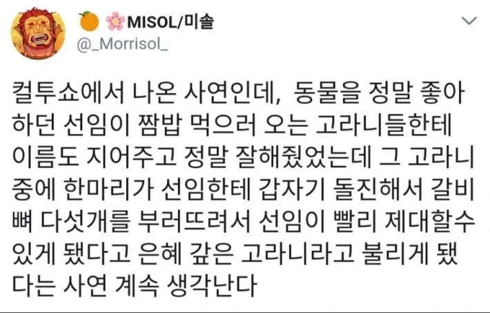 은혜갚은 고라니_1.webp