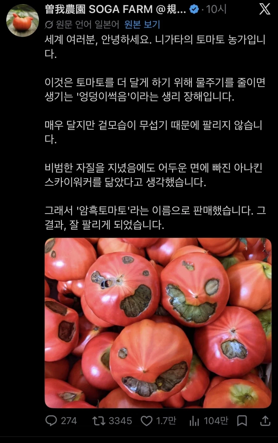 칼슘 부족 토마토 파는 방법_1.webp
