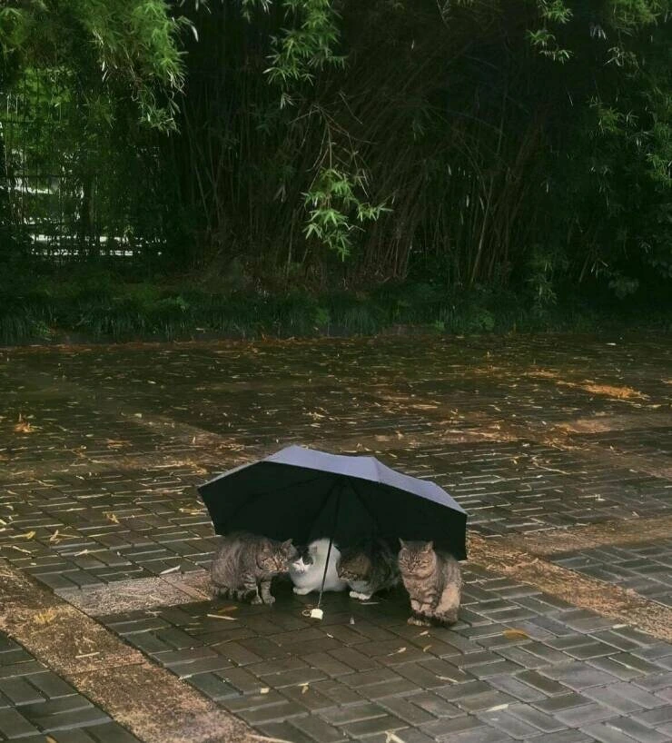 어린이날이라고? 짤 달린다 다들 각오해라 ㅋㅋㅋㅋㅋㅋㅋ_8.jpg