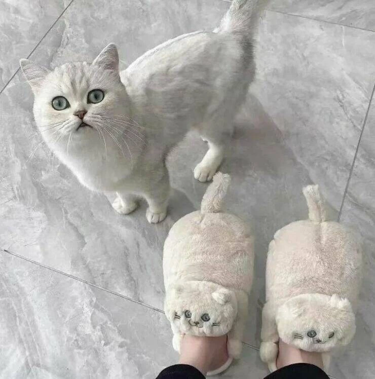 어린이날이라고? 짤 달린다 다들 각오해라 ㅋㅋㅋㅋㅋㅋㅋ_17.jpg
