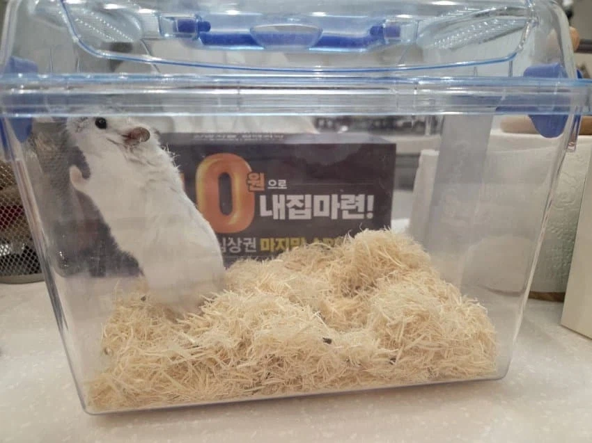 0원으로 내집 마련_1.webp