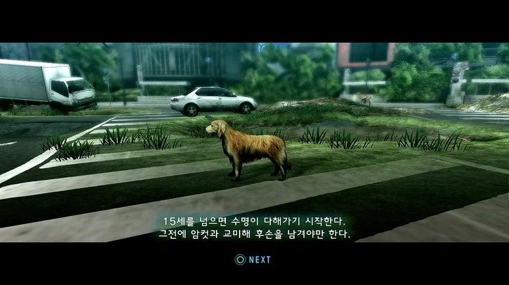 오로지 교미와 번식이 목적인 게임_1.webp