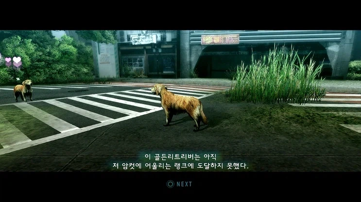 오로지 교미와 번식이 목적인 게임_2.webp