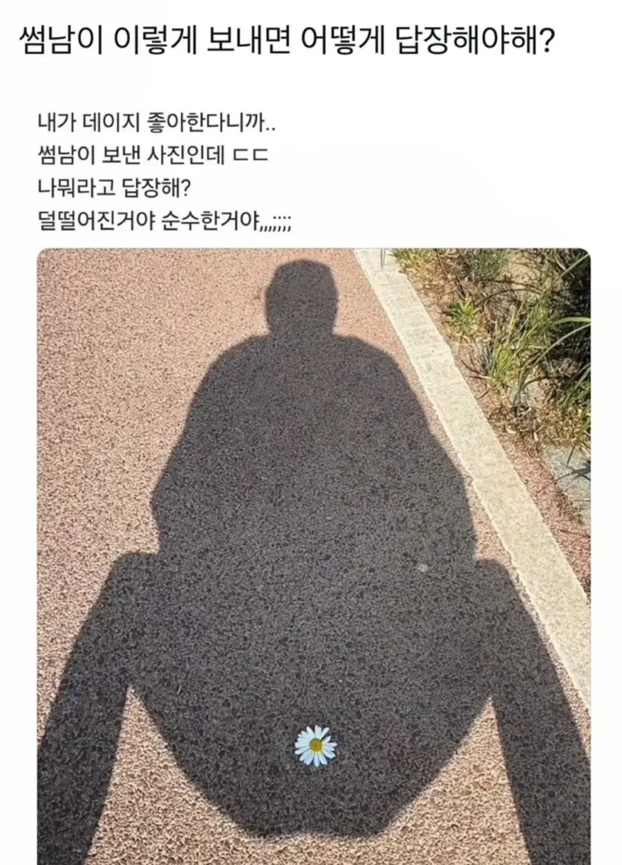 썸남의 꽃 플러팅.jpg_1.webp
