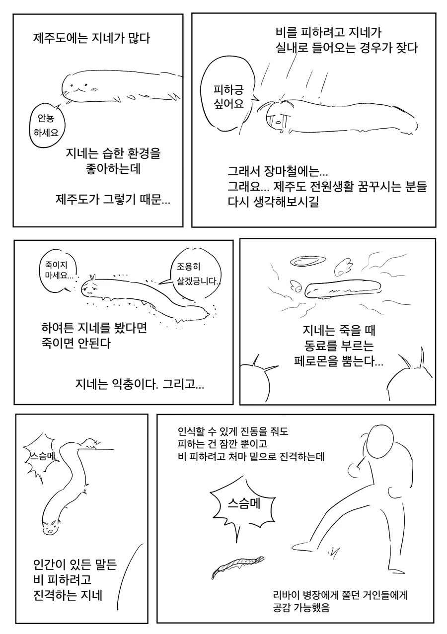 제주도에는 지네가 많다.jpg_2.webp