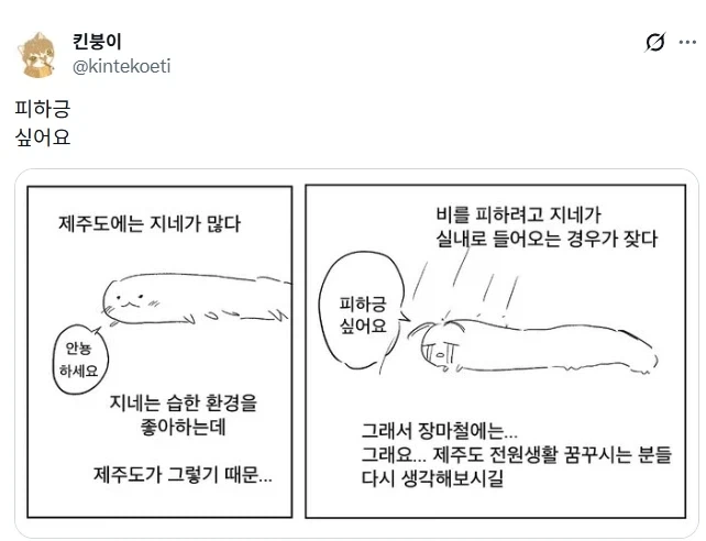 제주도에는 지네가 많다.jpg_3.webp