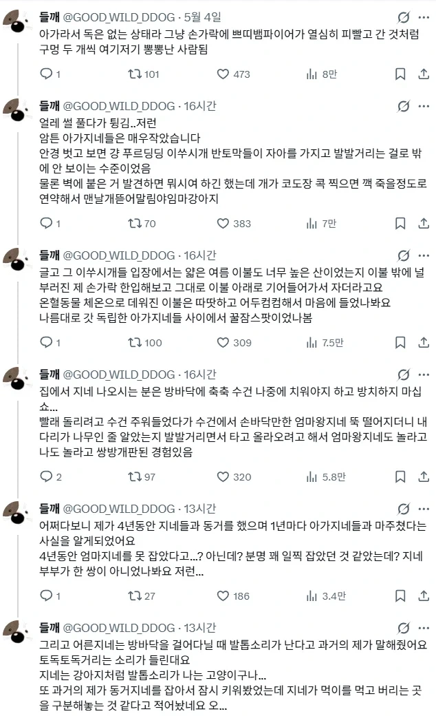 제주도에는 지네가 많다.jpg_5.webp