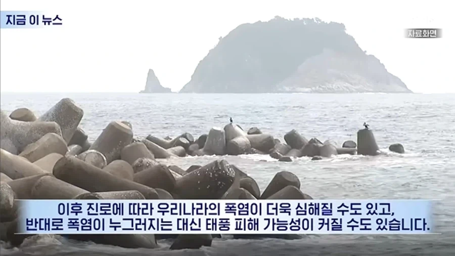 태풍 돌핀 이지선다_2.webp