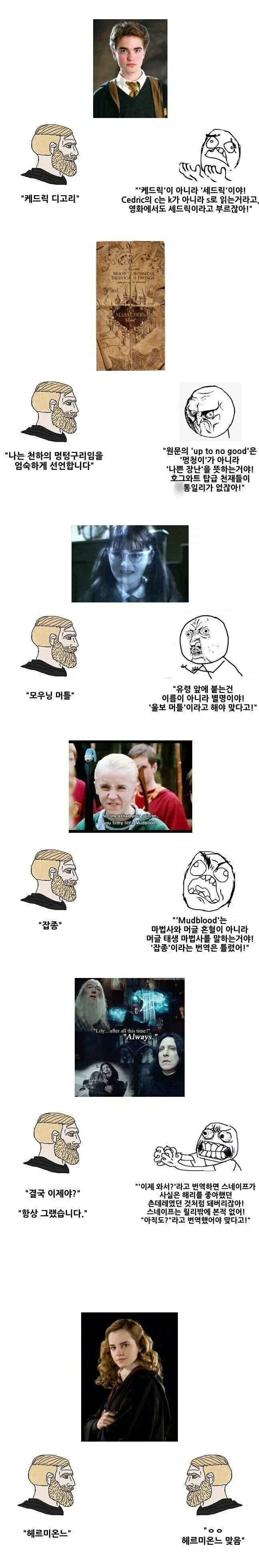 오역에 분노하는 해리포터 원작팬들_1.webp
