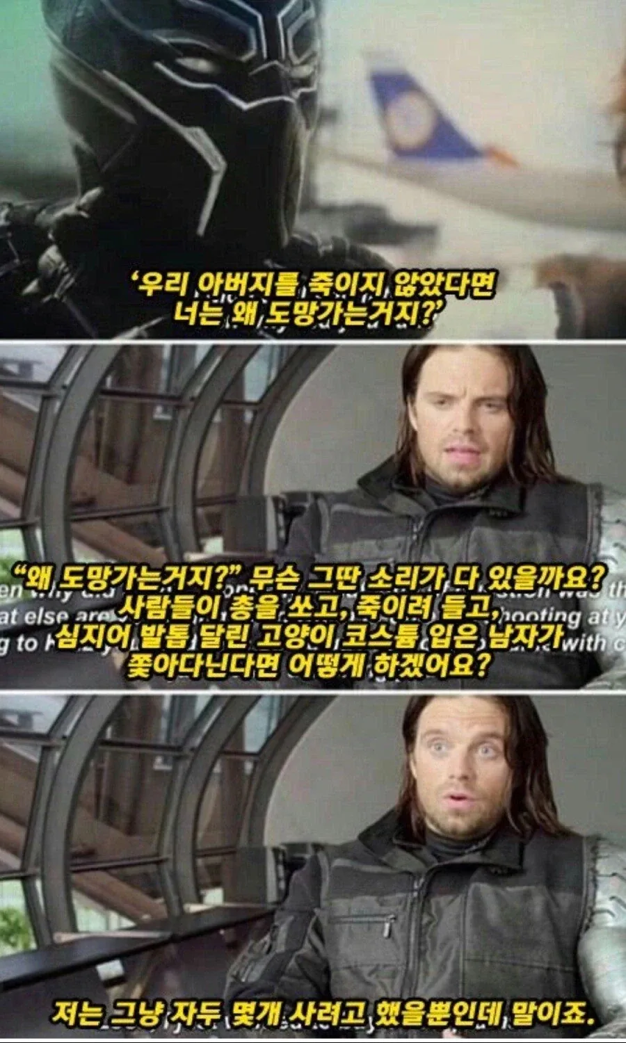MCU)버키 :