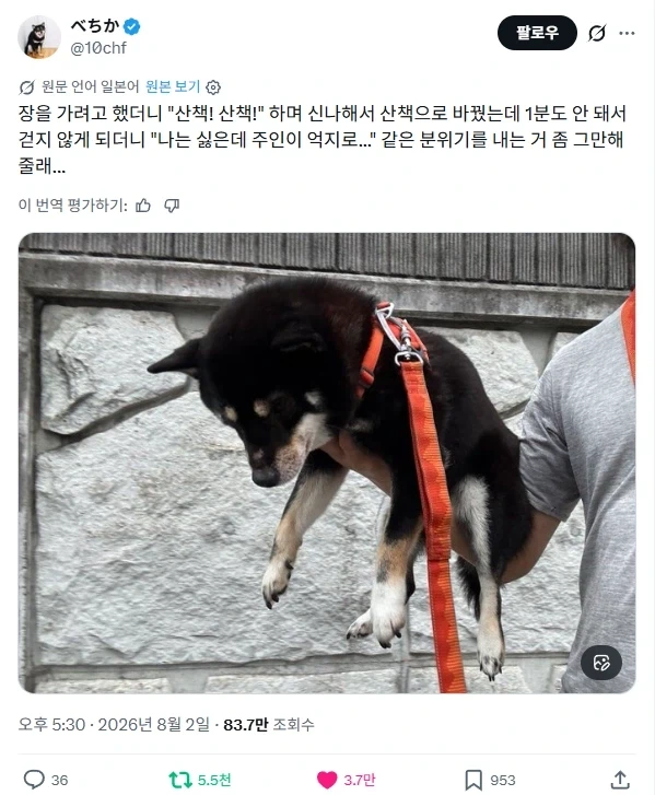 너가 나오자고 햇자나...._1.webp