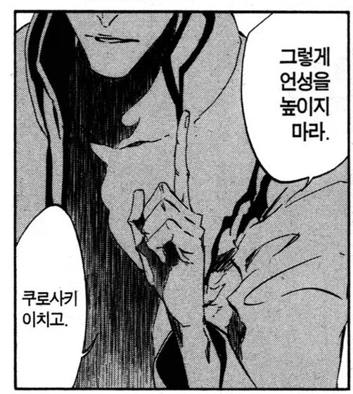 블리치 아이젠 관련 한국과 일본이 다른 이유_3.webp