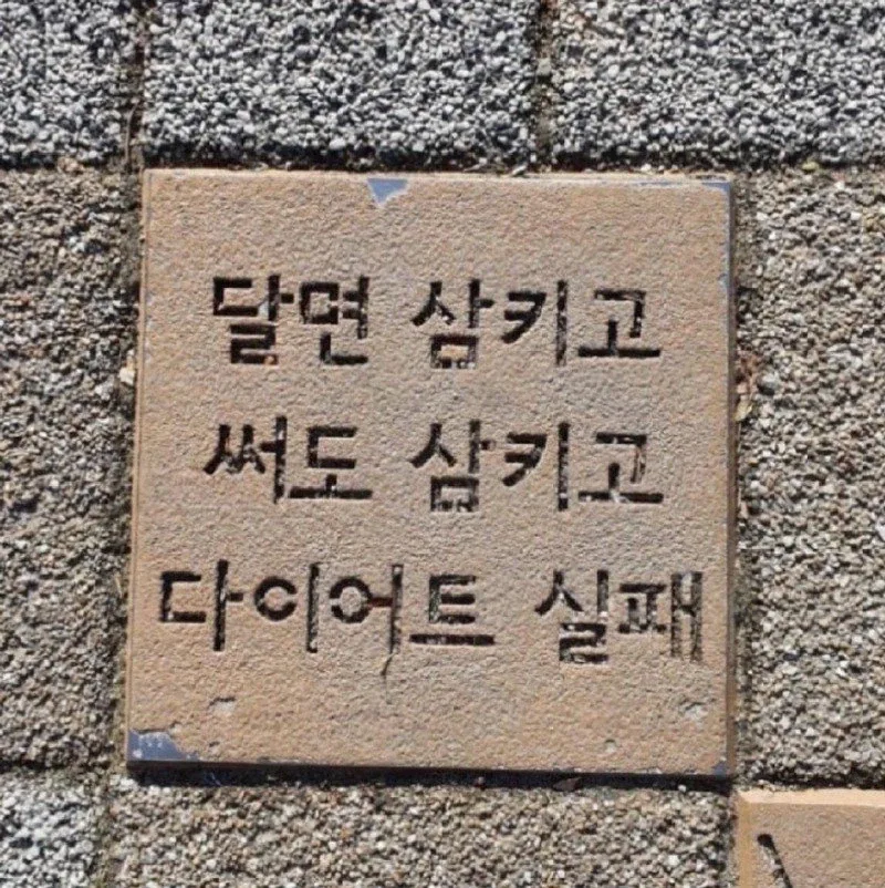 정성스러운 티배깅 jpg._1.webp