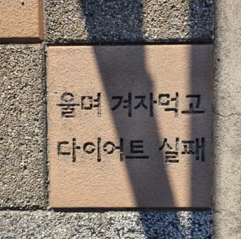정성스러운 티배깅 jpg._2.webp
