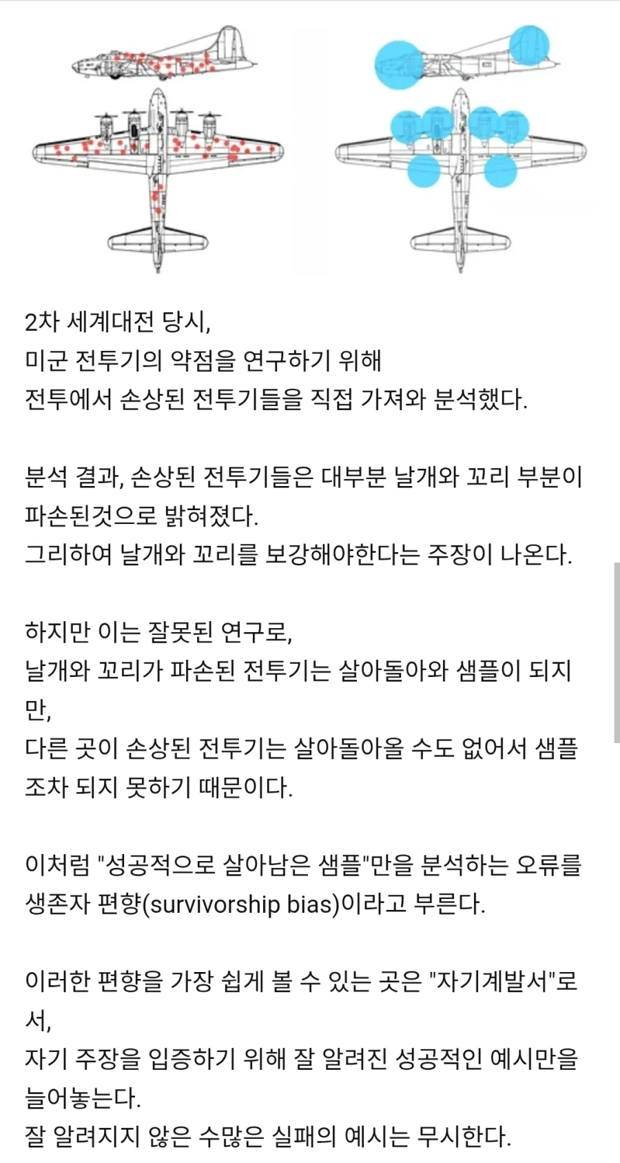 사회에서 흔히 보이는 생존자 편향의 오류_1.webp