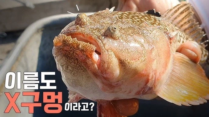 약?혐) 얼핏 보면 무섭게 생긴 물체_6.webp