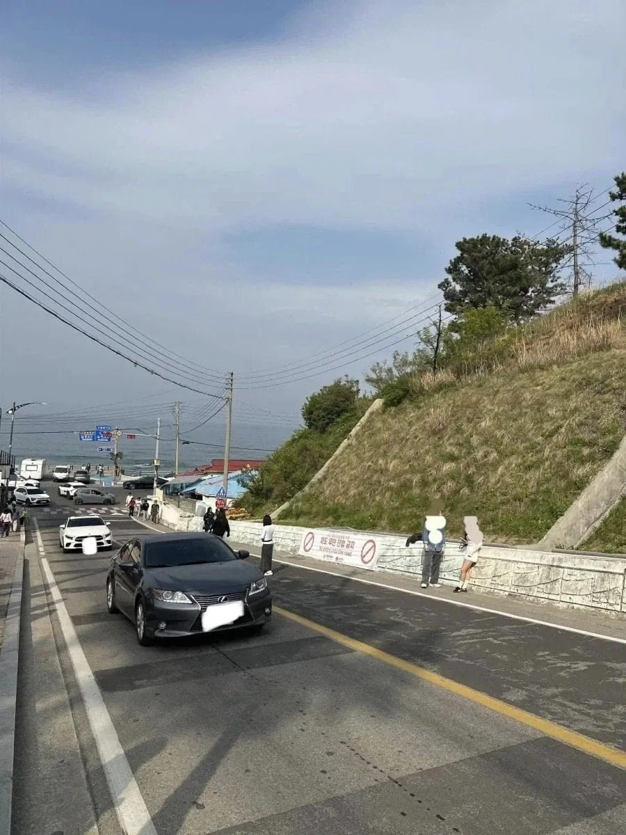 난리난 동해