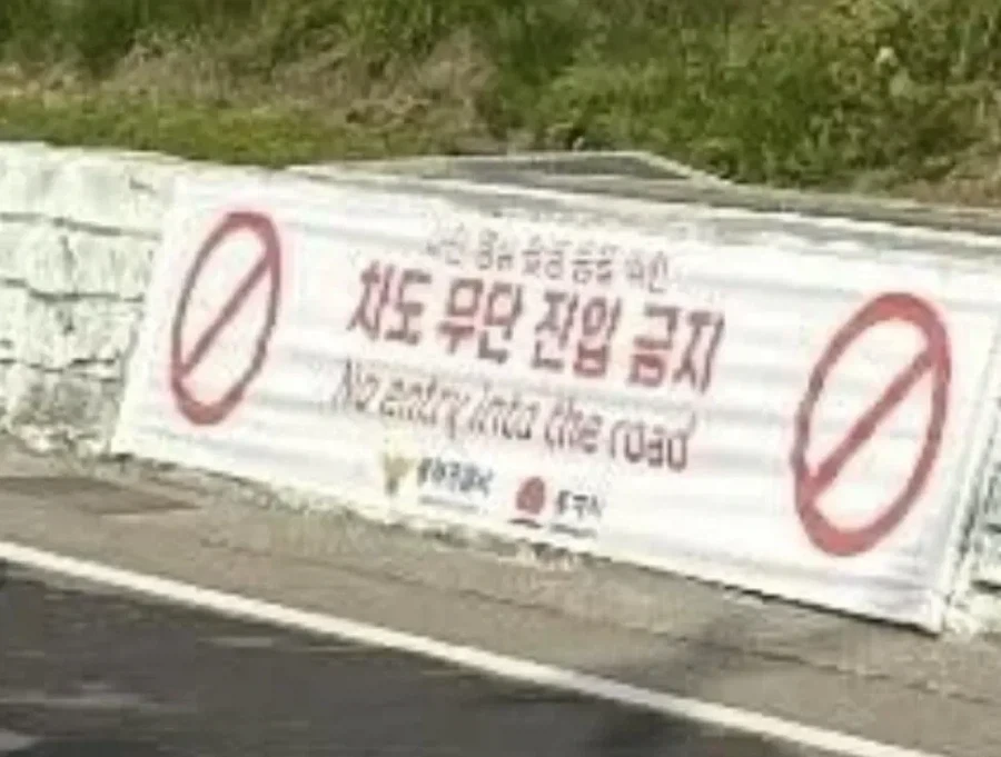 난리난 동해