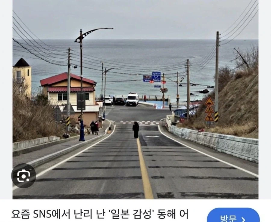 난리난 동해