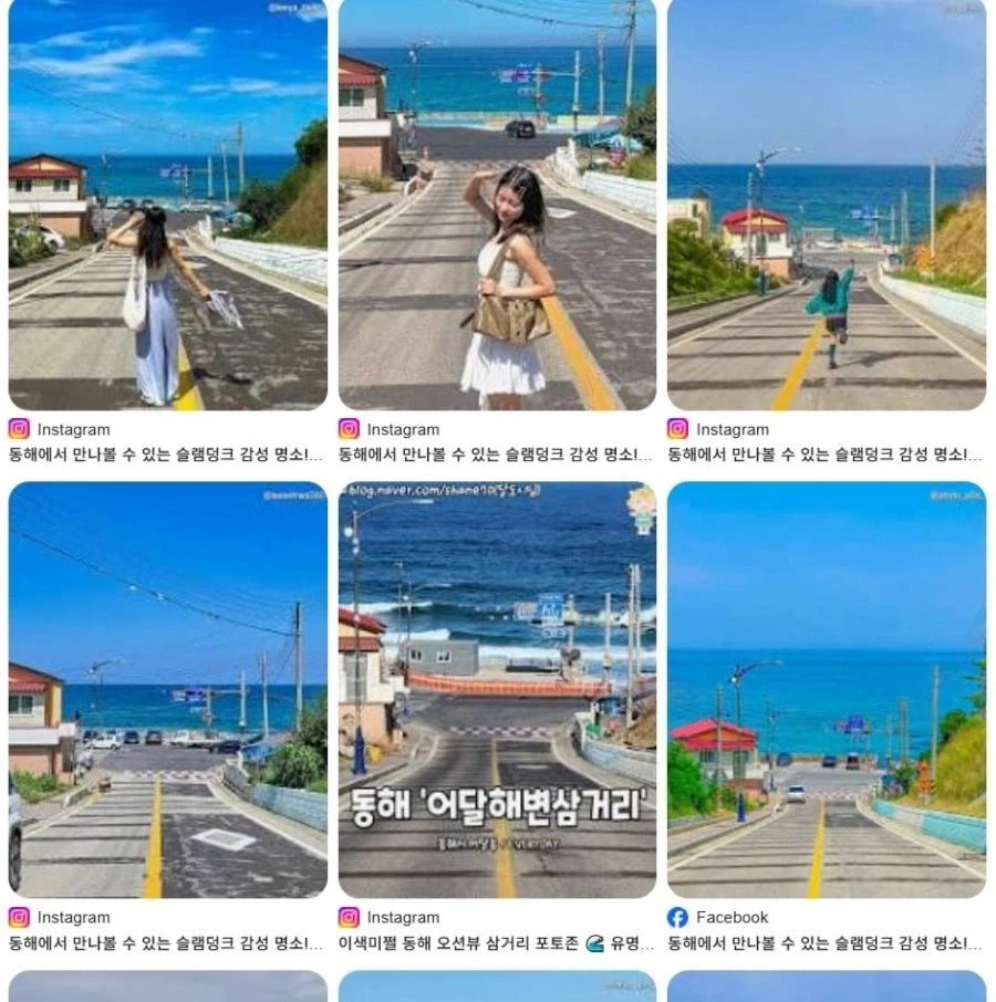 난리난 동해