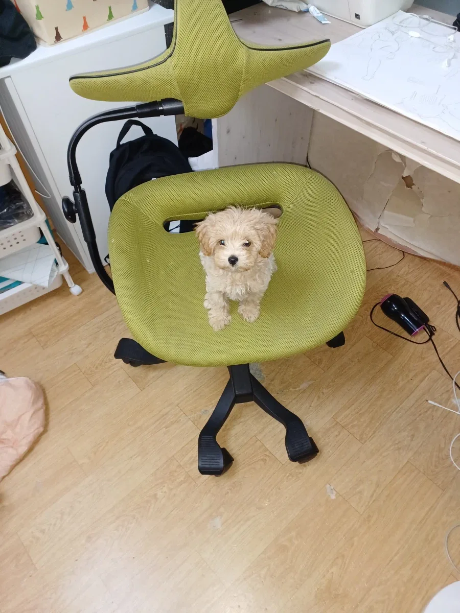 어린이날 특선 사진_3.webp
