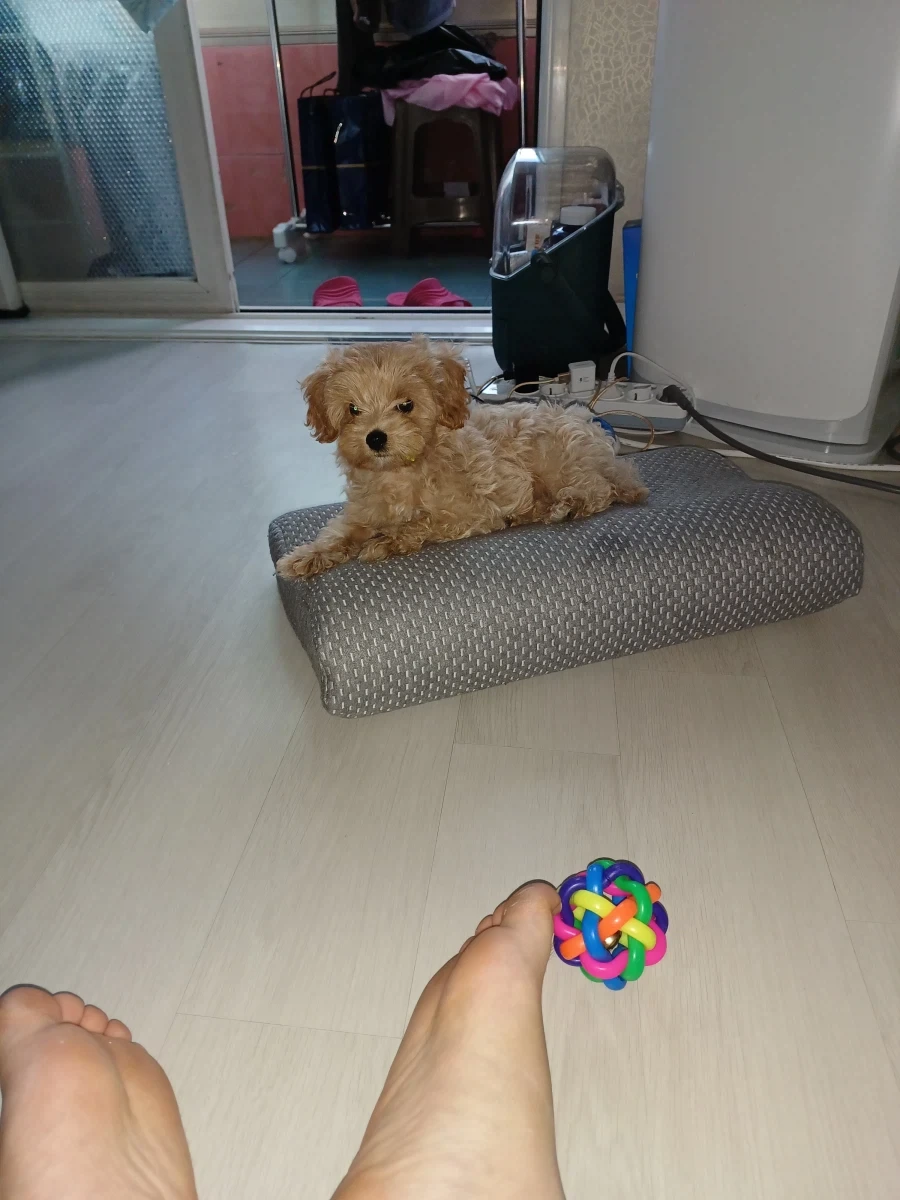 어린이날 특선 사진_4.webp