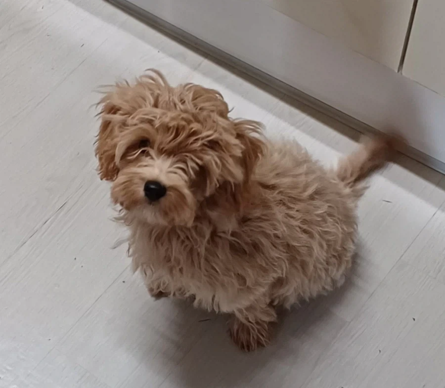 어린이날 특선 사진_5.webp
