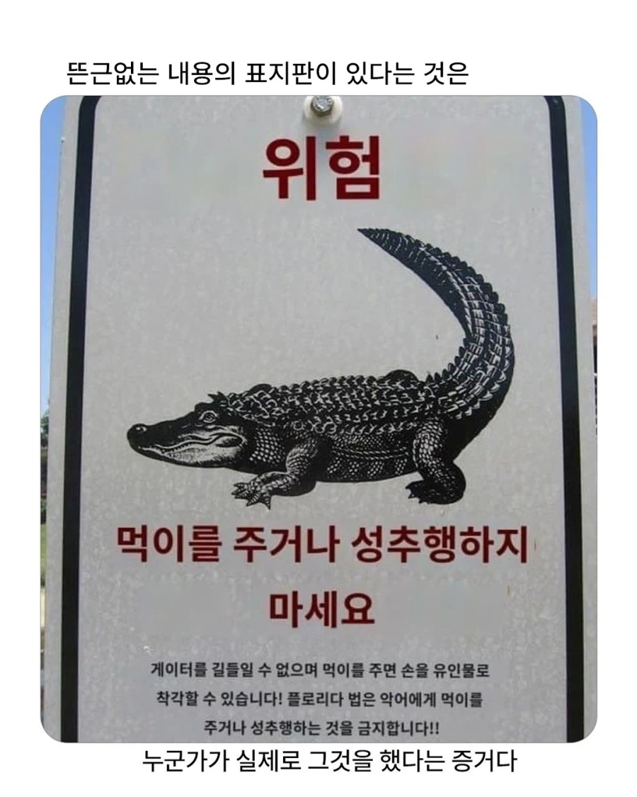 악어 위험 표지판_1.webp