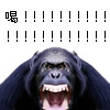 역대급 호구 남편_2.png