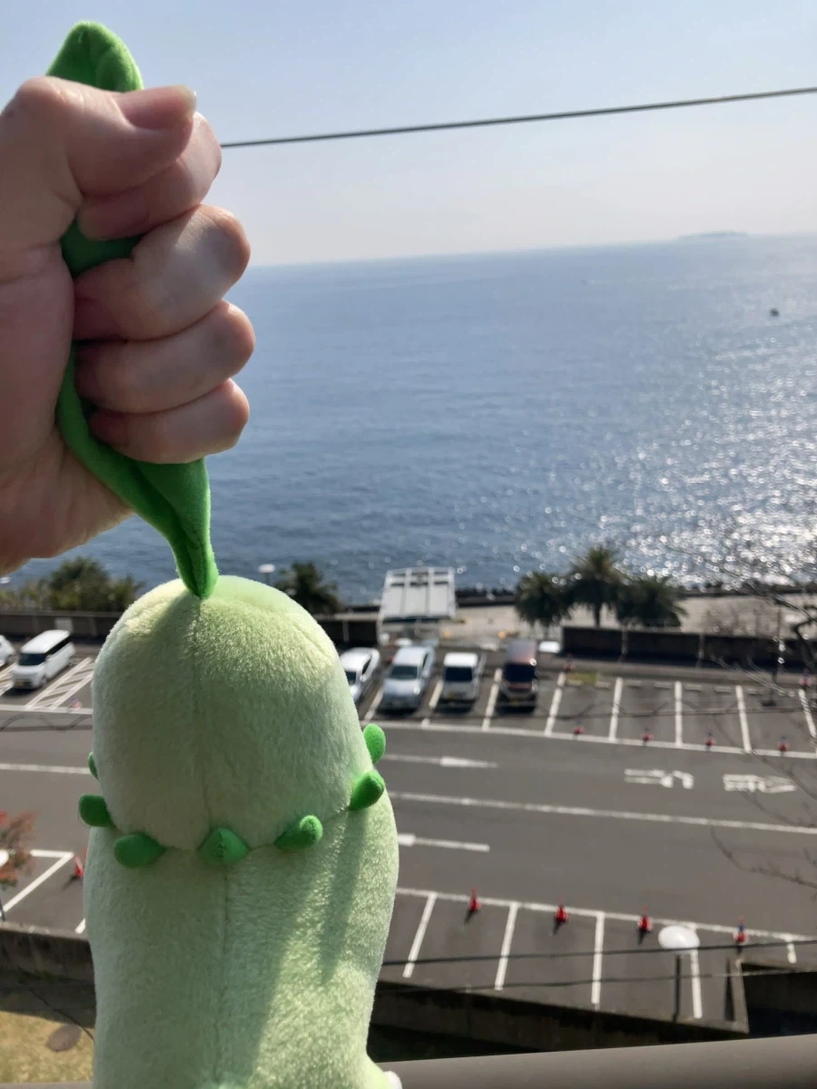 치코리타 저기 봐봐!!_1.webp