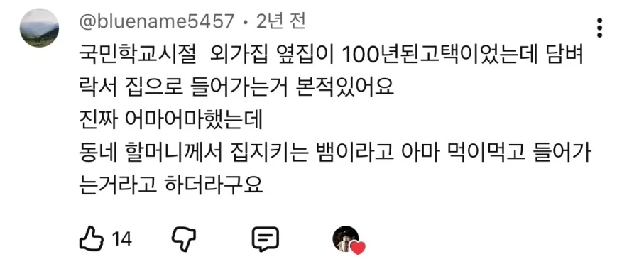 예전 우리나라에서 애완동물로 많이 키우던 동물.jpg_2.webp