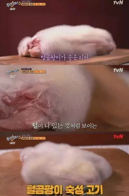 곰팡이로 숙성시킨 고기_1.jpg