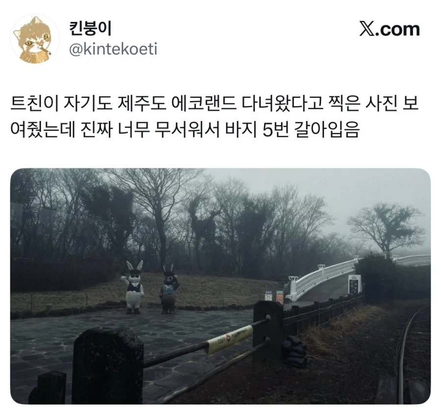 제주도 에코랜드 후기.jpg_1.webp