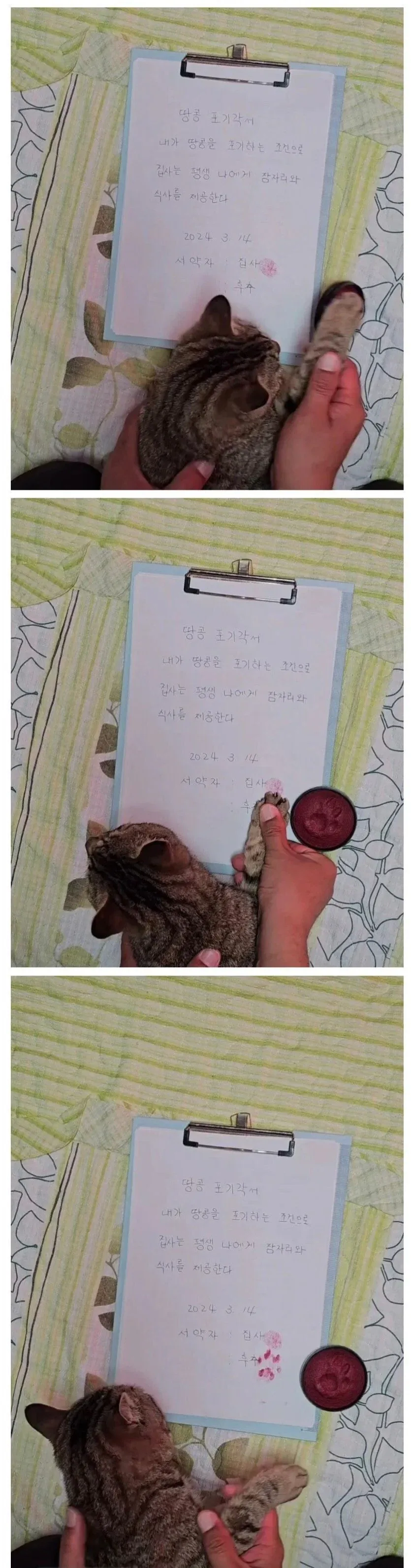 문맹이 당하는 서러움_1.webp
