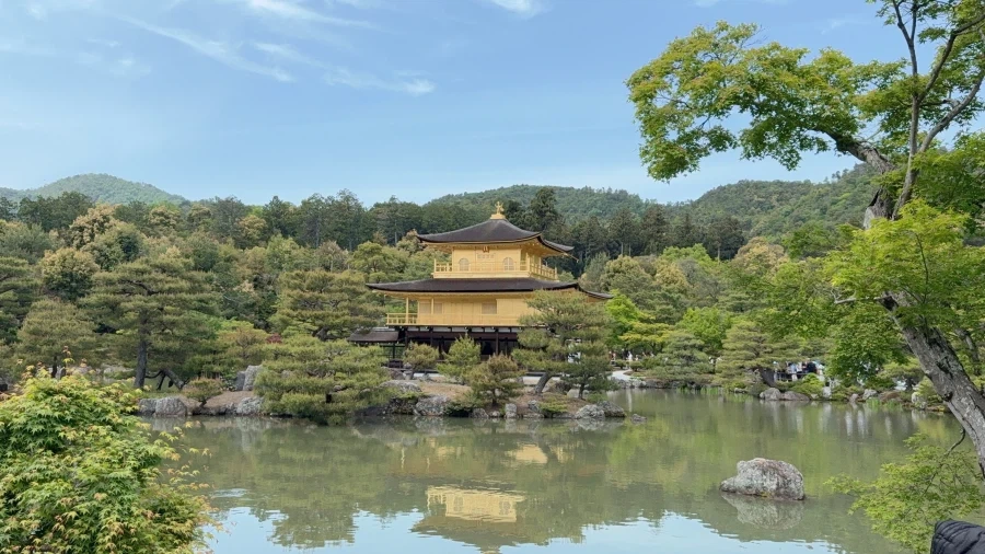 내 연휴 어디갔어!!_11.webp