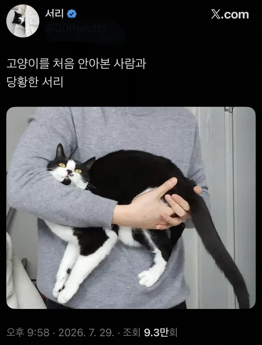 고양이를 처음 안아본 사람_1.webp