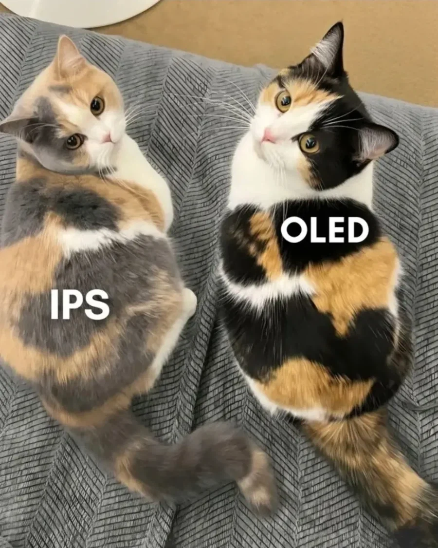 OLED와 IPS 패널의 차이_1.webp