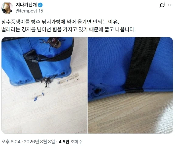 장수풍뎅이를 방수 낚시가방에 넣어 옯기면 안되는 이유_1.webp