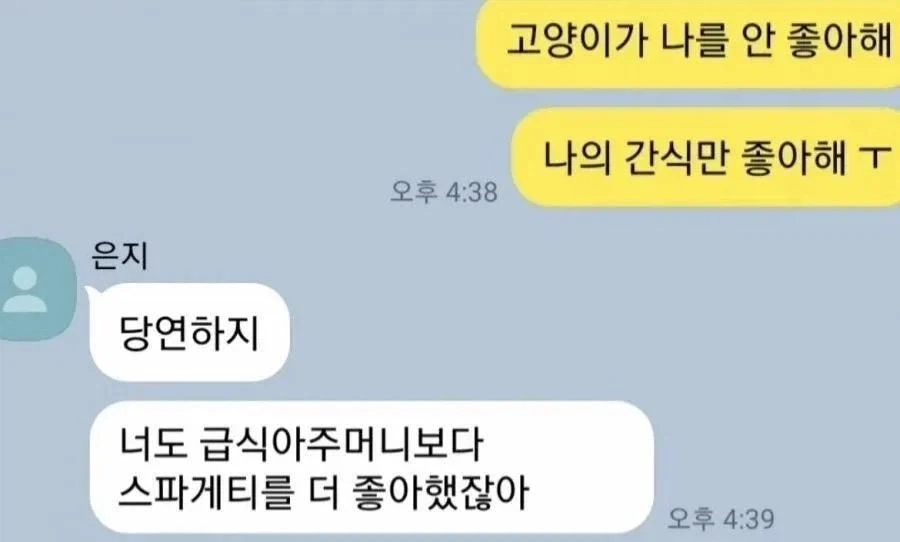 고양이가 나 안좋아함_1.webp