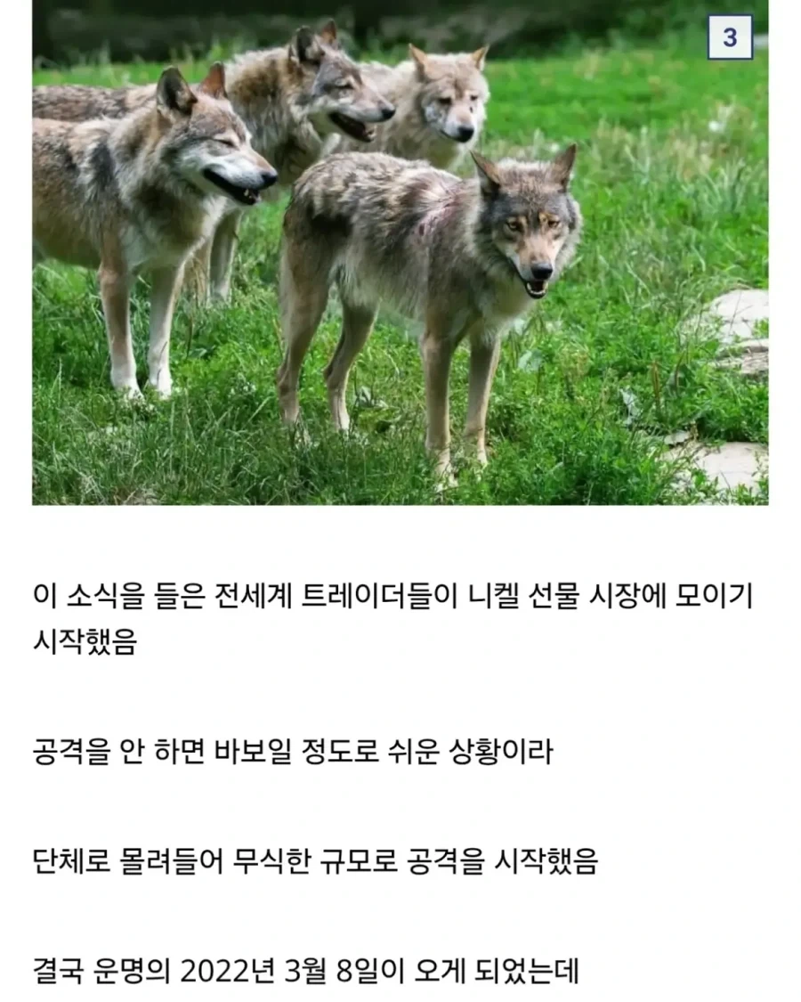대형 기관의 포지션이 노출되었을 때 생기는 일.jpg_5.webp