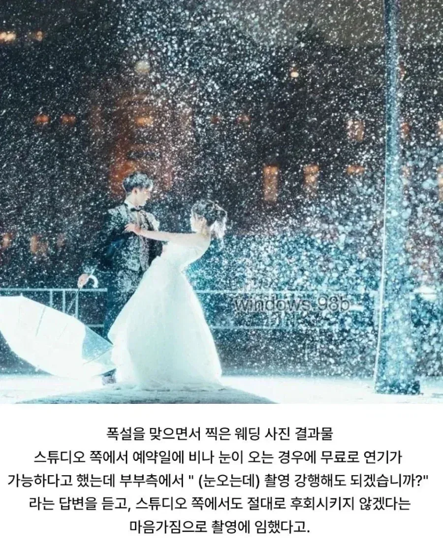 폭설에 웨딩촬영 강행한 부부.jpg_2.webp