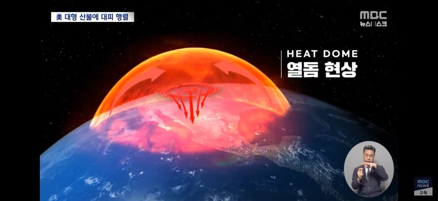 천조국의 열돔 크기 클라스.._1.webp