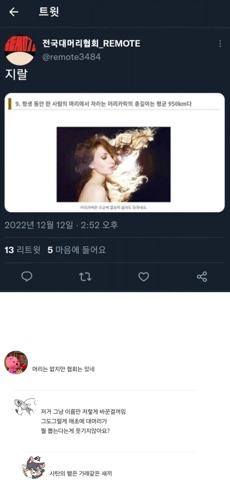 사람의 머리카락은 평생동안 950km까지 자란다._1.webp