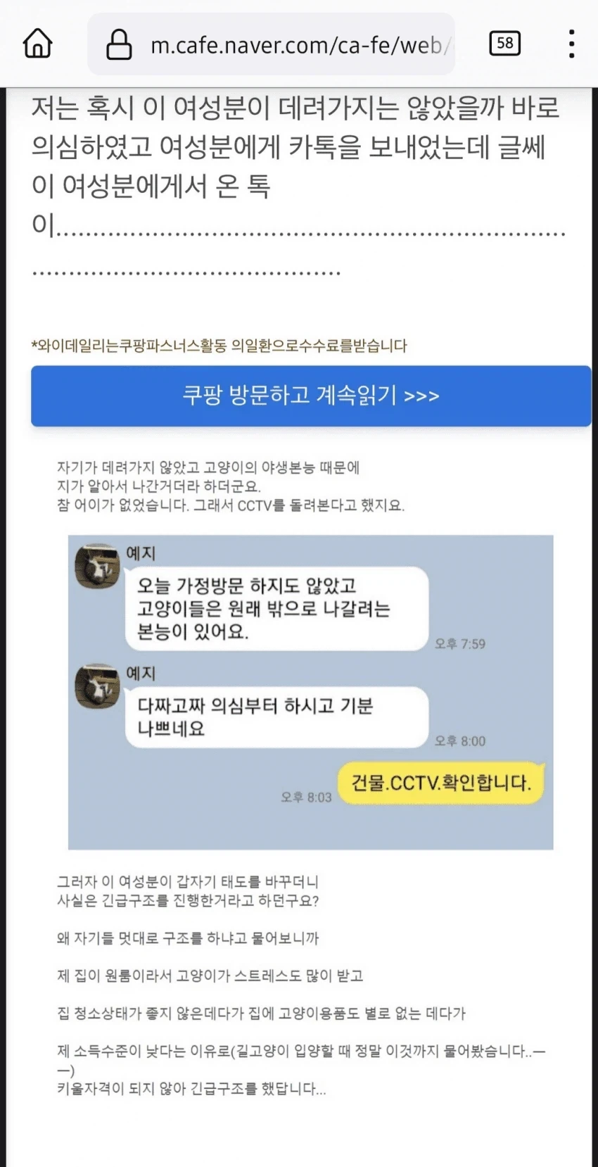 캣맘이 입양보내고 집비번을 달라하는 이유_2.webp