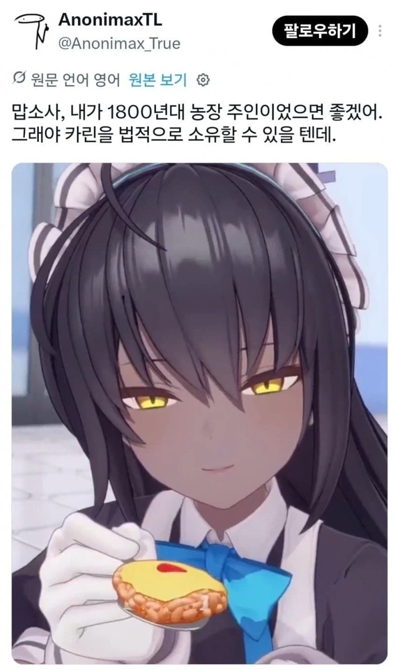 노예제 찬성론자_1.webp