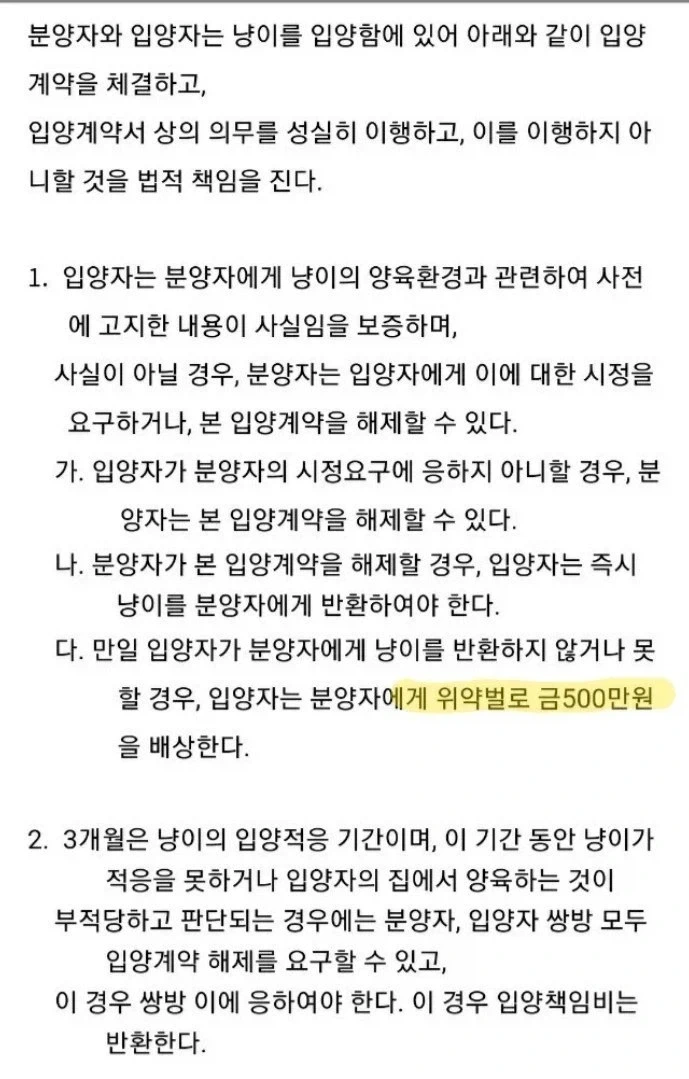 들고양이 길터리 계약서 쿨이 돌았구나.._2.webp