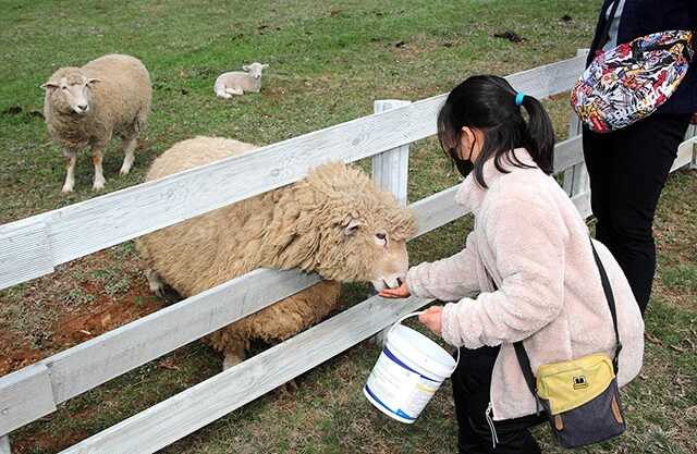 캣맘이 생기게 되는 근본적인 원인 ㄷㄷㄷㄷ_1.jpg