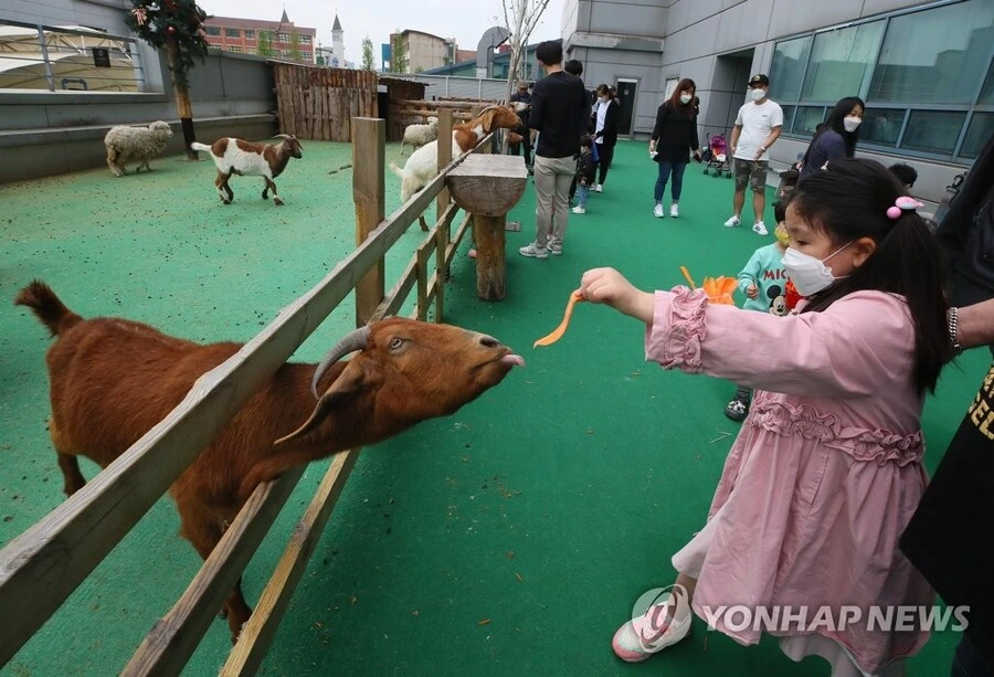캣맘이 생기게 되는 근본적인 원인 ㄷㄷㄷㄷ_2.jpg